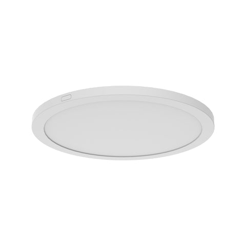 Tempest 12 Inch Flush Mount