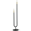 2LT Incandescent Floor Lamp